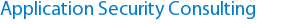 Application Security Consulting